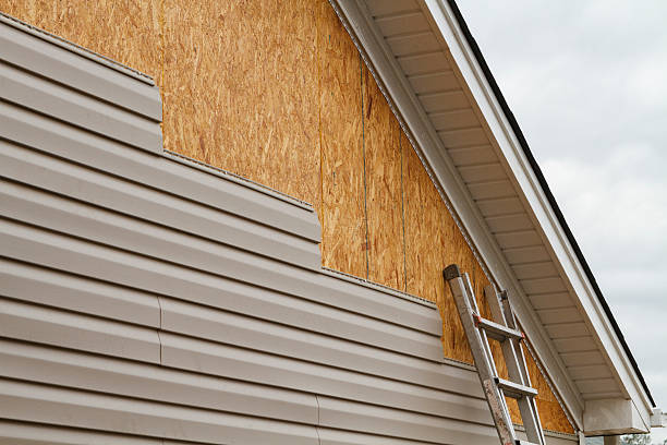 Professional Siding Repair technician working in Plymouth, MN